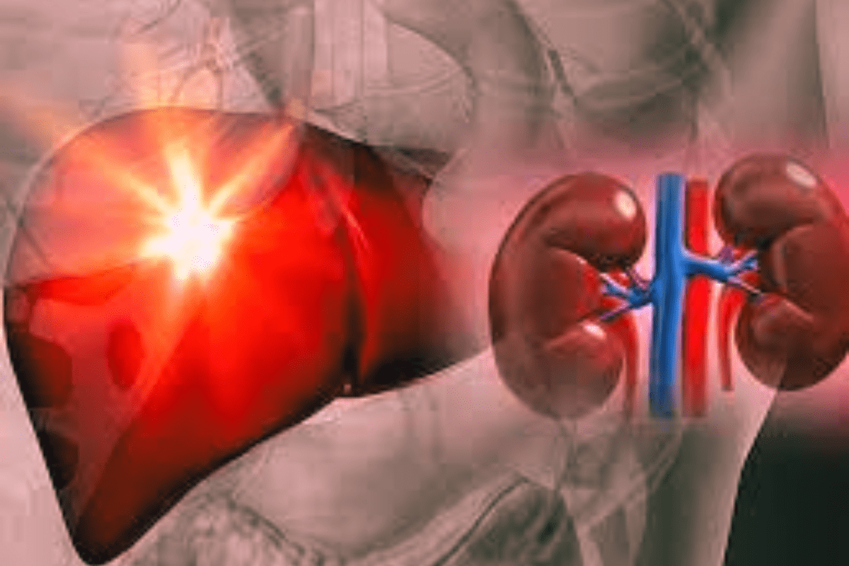 How to restore Liver and kidney health, Liver and kidney function