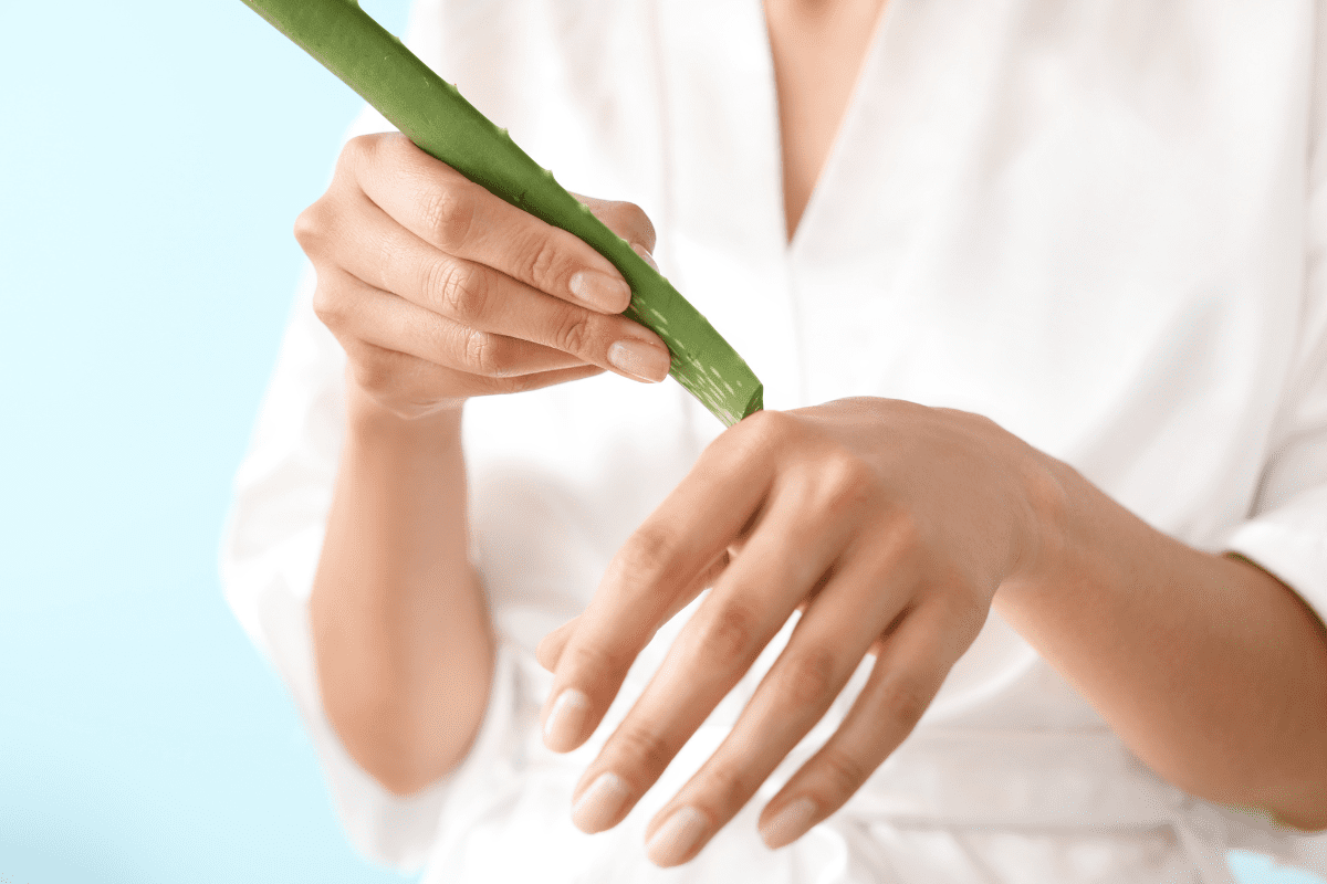 Can Aloe Vera be used as Moisturizer - Aloe Vera Magic 3 Can Aloe Vera be used as Moisturizer, Aloe Vera for Skin