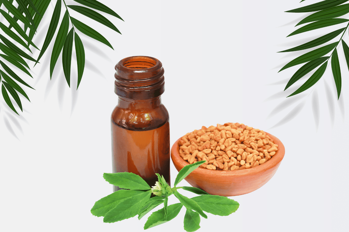 Is Methi Good for Hair, Methi Oil