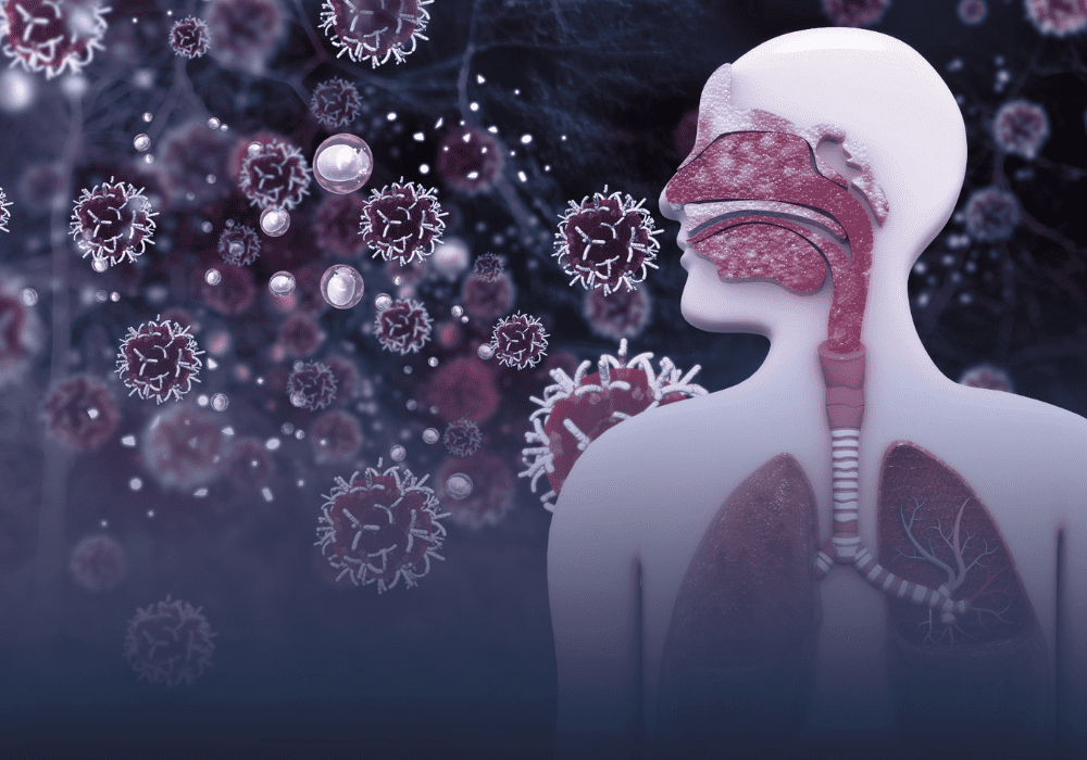 Which Plant is called Herbal Indian Doctor - Doctor Plant 3 Which Plant is called Herbal Indian Doctor, Respiratory Issues