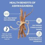 vedic roots organic ashwagnadha powder,benefits of ashwagnadha powder