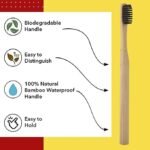 bamboo tooth brush,herbal dant manjan with bamboo tooth brush