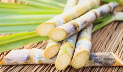 is sugarcane juice good for diabetes, sugarcane