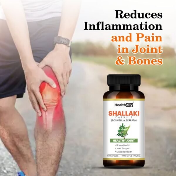 ayurvedic capsule for bone,healthally shallaki capsule