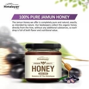himalayan brew dark jamun honey,nature's nector jamun honey,jamun honey benefits
