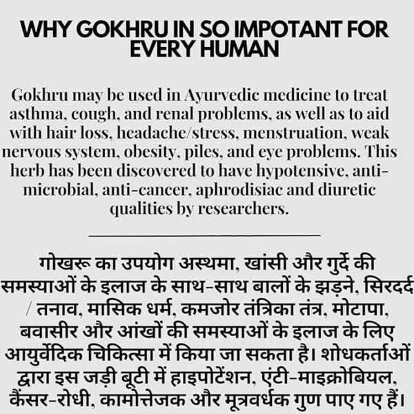 Vedic Roots Gokhru Powder, healthally, gokhru powder benefits, Why choose vedic roots gokhru