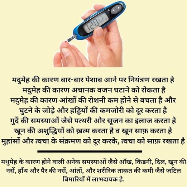 Vedic Roots Pure Gudmar Powder, benefits of gudmar powder, healthally, diabetes control