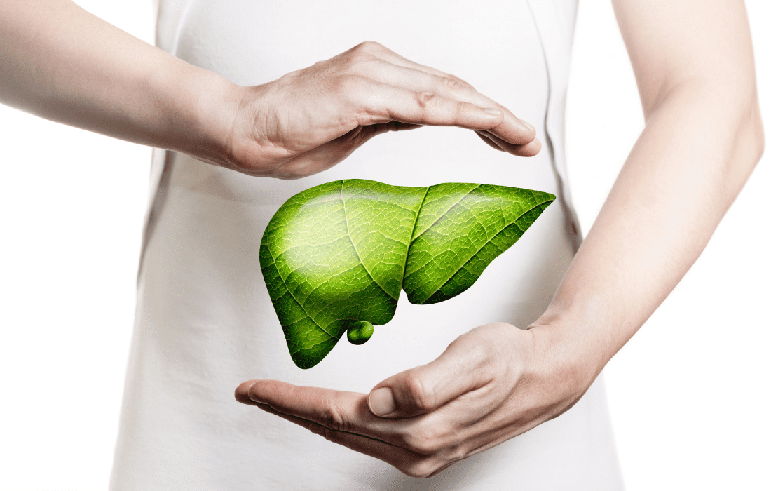 How to Improve Your Liver Health Naturally - Healthy Liver 1 how to improve your liver health naturally