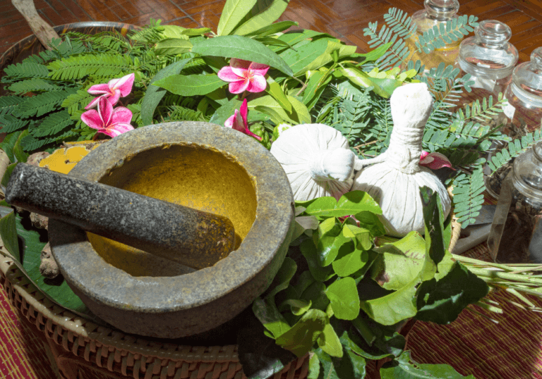 Which Plant is called Herbal Indian Doctor - Doctor Plant